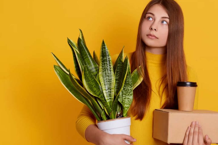 Cómo mantener un trabajo y evitar el despido