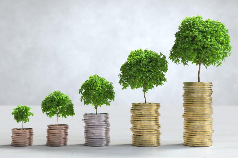 Pequeñas Inversiones Rentables